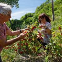 Les gourmandises de Blours