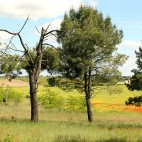 Véron Touraine Terre d'Histoire©PNR Loire Anjou Touraine