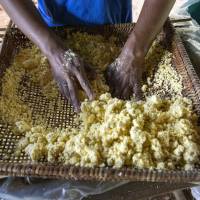 Tamisage de la farine de manioc