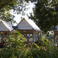 Camping Isle verte©PNR Loire Anjou Touraine