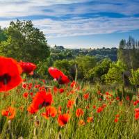 Campagne St Lazare PNR Luberon