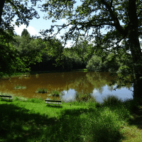 Etang de pêche du camping des Mésanges