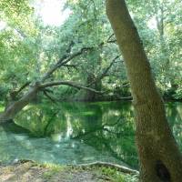 Camping La coutelière PNR Luberon