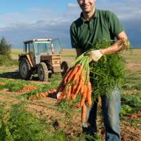 Alexandre Bedague producteur de Carotte de Tilques