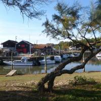 Port de Cassy Lanton Bassin d'Arcachon