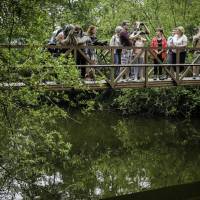 groupe sur un pont