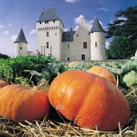 Château du Rivau©PNR Loire Anjou Touraine