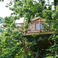 Perché dans le Perche - La cabane dans les arbres