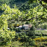 Domaine de la done