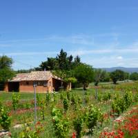 Domaine des Finets PNR Luberon