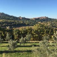 Domaine des Finets PNR Luberon