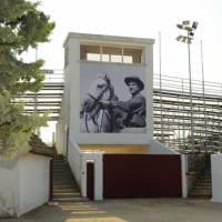 Méjanes - Paul Ricard, les arènes