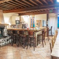 Grande salle à manger avec coin cuisine, plafond à la française et cheminée équipée d'un insert