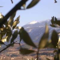 Mont Ventoux