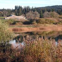 Vue du lac © Maison de la Réserve Lac de Remoray