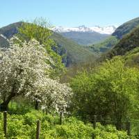 Les gourmandises de Blours