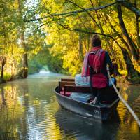 Promenade en barque avec une pigouille dans le Marais poitevin