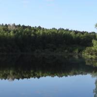 Étang et boisements de Joreau©PNR Loire Anjou Touraine