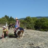 Marche à l'étoile PNR Luberon