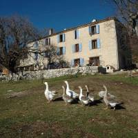 La Ferme Saint Pierre - Bastide