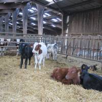 Ferme du gros Poirier