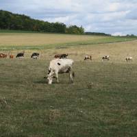 Ferme du gros Poirier