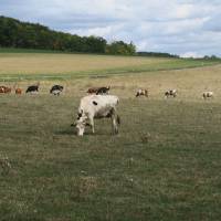 Ferme du gros Poirier