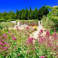 Gîte - Parc des Alpilles