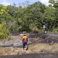 GBT - Visite savanes ROches St-Georges de l'oyapock
