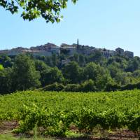 Les Coteaux de Grambois PNR Luberon