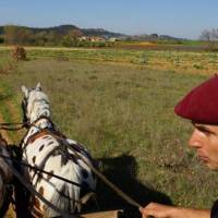 Provence Hipposervice