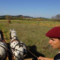 Les ocres en calèche - PNR Luberon