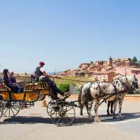 Provence Hipposervice