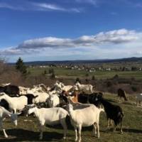 Ferme de la Fruitière - vue