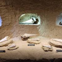La Cave aux Coquillages - crédit PNRMR
