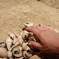La Cave aux Coquillages - crédit PNRMR