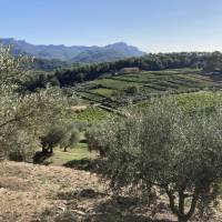 Domaine La Michelle - Ilona Genty-Mezei