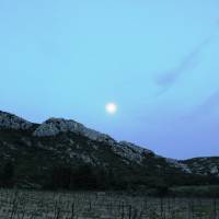 Bureau des guides naturalistes - visite dans les Alpilles crépuscule