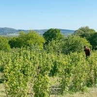 © Karine GAMBART SPIRKEL / Parc naturel régional du Morvan