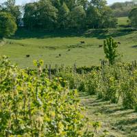 © Karine GAMBART SPIRKEL / Parc naturel régional du Morvan