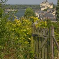 Montsoreau©PNR Loire Anjou Touraine