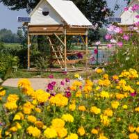 Camping Isle verte©PNR Loire Anjou Touraine