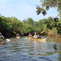 Location de kayaks sur le Delta de la Leyre