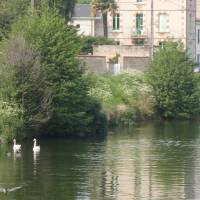 L'Horizon vu du canal Saint Martin à Niort