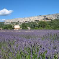 Chambres d'hôtes Li poulidetto PNR Luberon