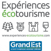 Des ateliers avec sorties pour vivre des expériences d'écotourisme