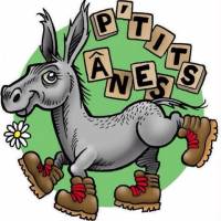 Ptits anes - logo