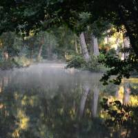 Le Marais poitevin à l'aube