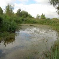 Marais de Taligny CPIE Touraine Val de Loire©PNR Loire Anjou Touraine