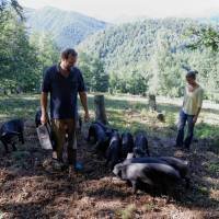 Ferme de las Laous